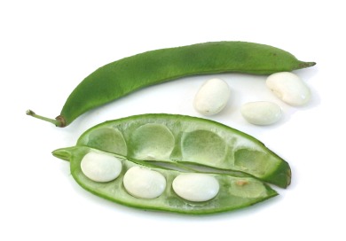 Raw lima beans should be avoided Raw lima beans
